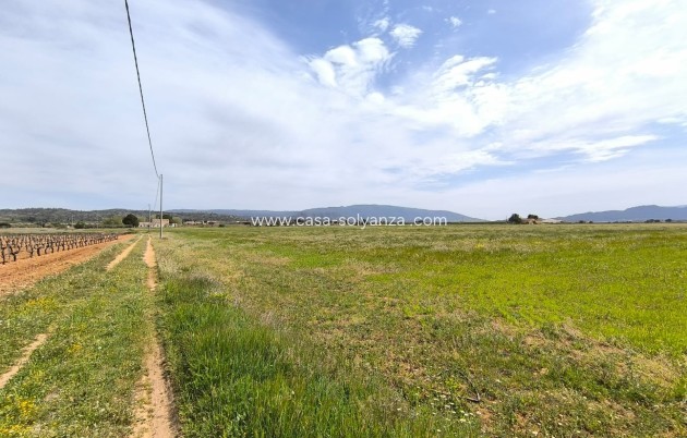 Herverkoop - Country Property/Finca - Yecla - Inland