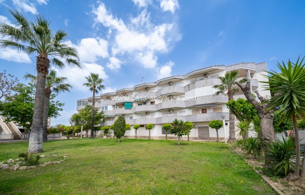 Herverkoop - Appartement / flat - Orihuela Costa - Cabo Roig