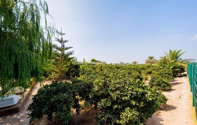 Herverkoop - Country Property/Finca - Almoradí - Inland