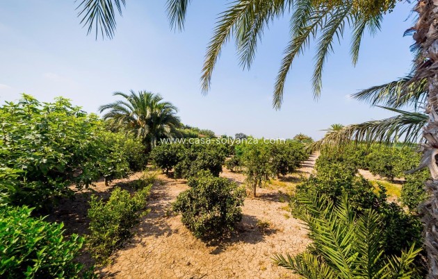 Herverkoop - Country Property/Finca - Almoradí - Inland