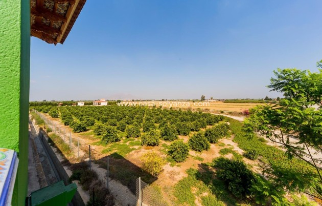 Herverkoop - Country Property/Finca - Almoradí - Inland