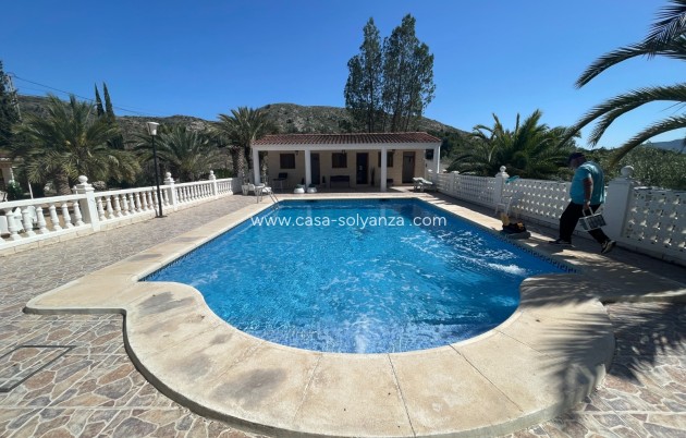 Wiederverkauf - Country Property/Finca - Elda - Inland