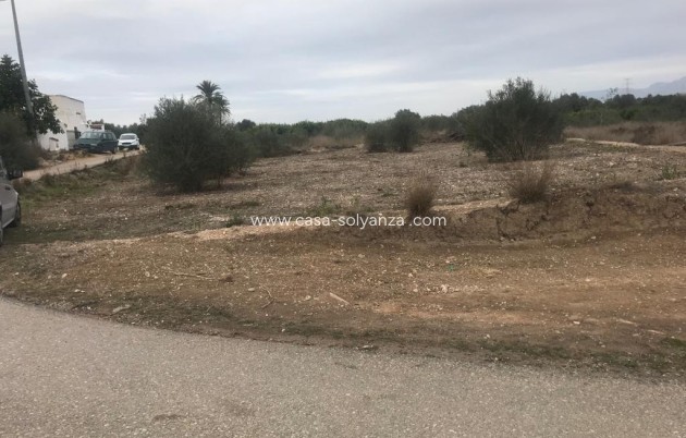 Resale - Terreno - Benferri - HUERTA PUEBLO