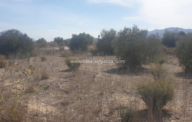 Reventa - Terreno - Benferri - HUERTA PUEBLO