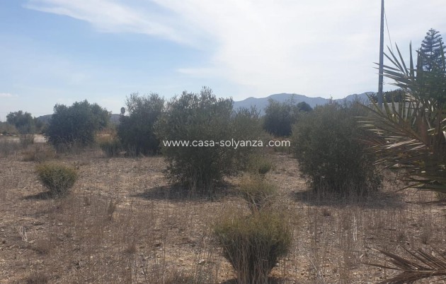 Reventa - Terreno - Benferri - HUERTA PUEBLO