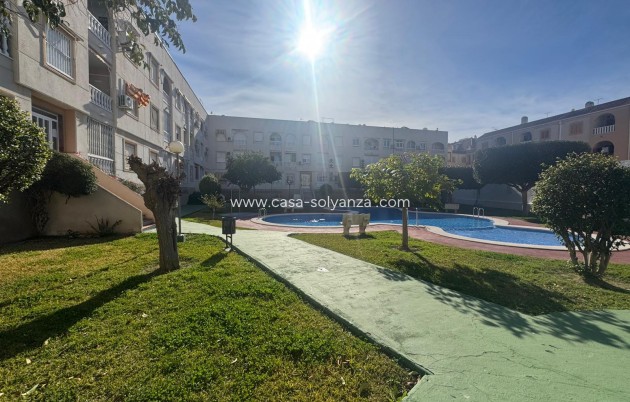 Resale - Apartment / flat - Torrevieja - Acequion