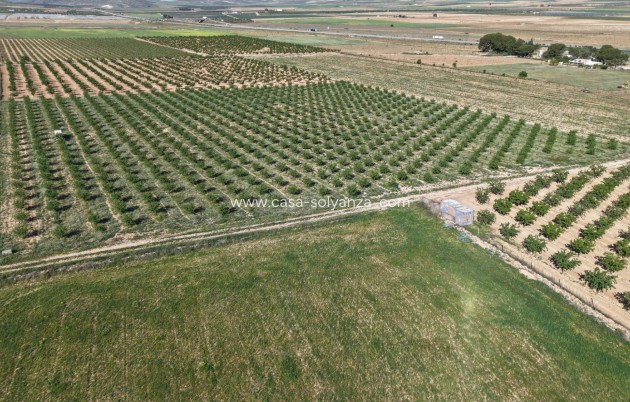 Herverkoop - Land - Yecla - Yecla Murcia