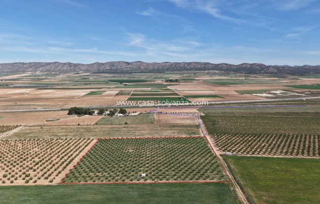 Herverkoop - Land - Yecla - Yecla Murcia