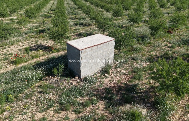 Herverkoop - Land - Yecla - Yecla Murcia