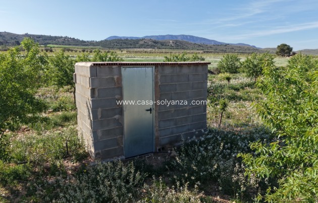 Herverkoop - Land - Yecla - Yecla Murcia