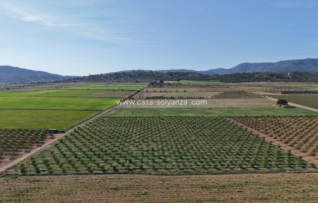 Herverkoop - Land - Yecla - Yecla Murcia