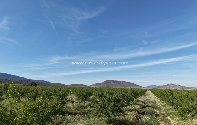 Herverkoop - Land - Yecla - Yecla Murcia