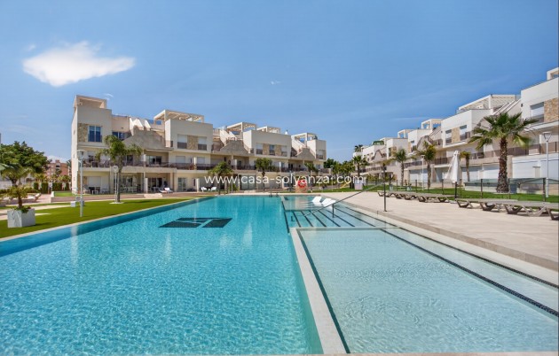 Herverkoop - Appartement / flat - Guardamar del Segura - Costa Blanca