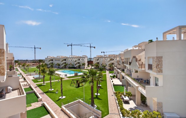 Herverkoop - Appartement / flat - Guardamar del Segura - Costa Blanca