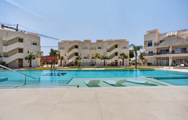 Herverkoop - Appartement / flat - Guardamar del Segura - Costa Blanca