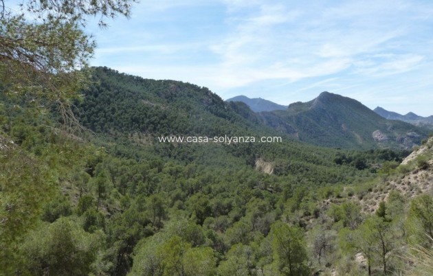 Wiederverkauf - Villa - Murcia