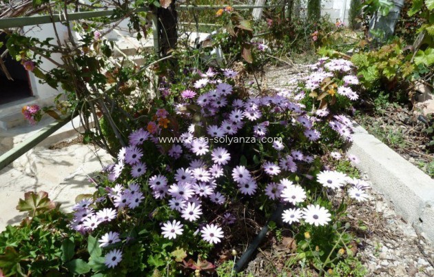 Wiederverkauf - Villa - Murcia