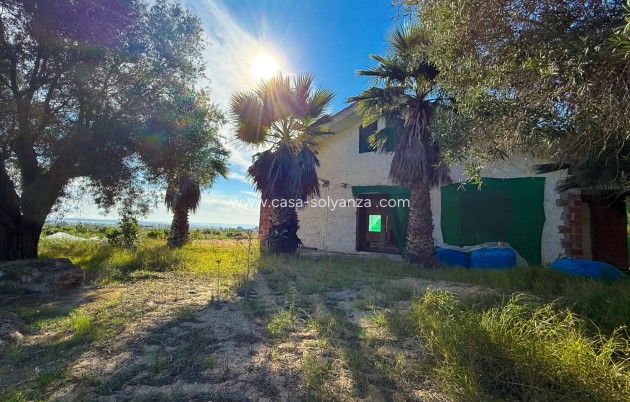 Resale - Finca Country Property - Guardamar del Segura - Guardamar