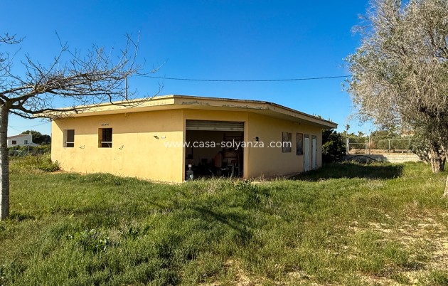 Resale - Finca Country Property - Guardamar del Segura - Guardamar