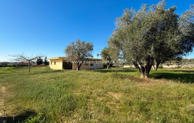 Resale - Finca Country Property - Guardamar del Segura - Guardamar