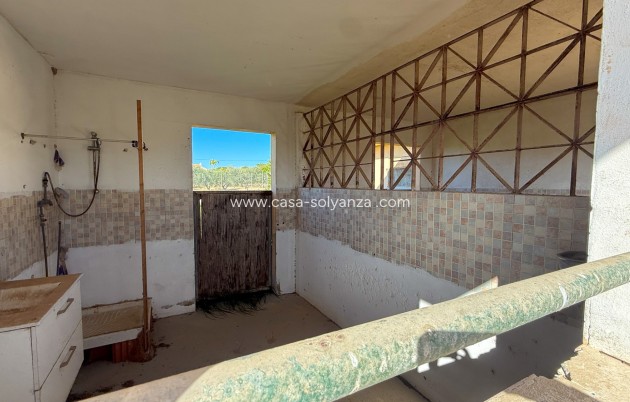 Resale - Finca Country Property - Guardamar del Segura - Guardamar