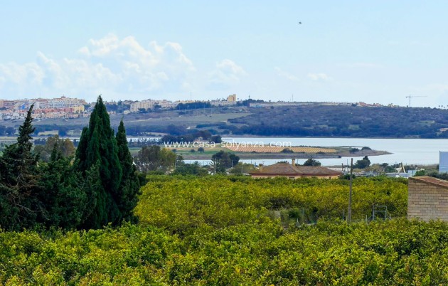 Resale - Finca Country Property - Guardamar del Segura - Guardamar
