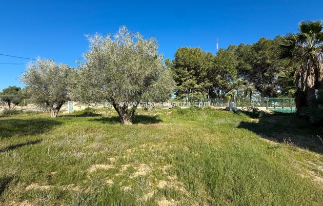Resale - Finca Country Property - Guardamar del Segura - Guardamar