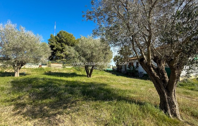 Resale - Finca Country Property - Guardamar del Segura - Guardamar