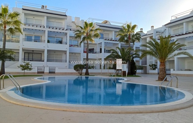 Herverkoop - Appartement / flat - Torrevieja - La veleta
