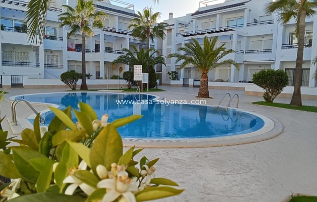 Herverkoop - Appartement / flat - Torrevieja - La veleta