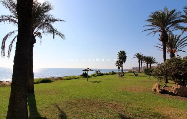Herverkoop - Appartement / flat - Torrevieja - La veleta