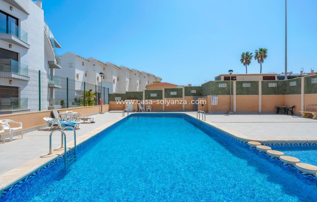 Herverkoop - Appartement / flat - Torrevieja - La Mata