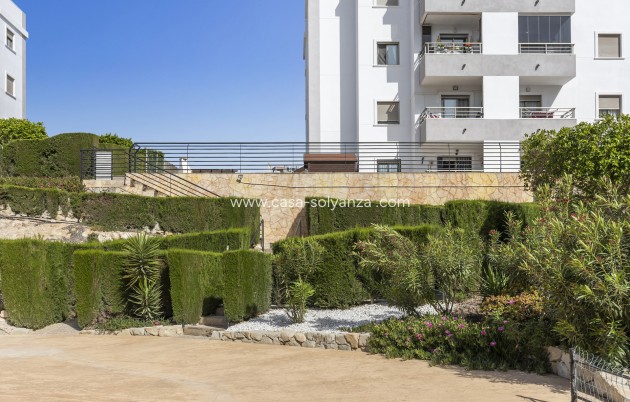 Herverkoop - Appartement / flat - San Miguel de Salinas - Inland