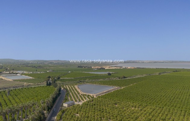 Herverkoop - Appartement / flat - San Miguel de Salinas - Inland