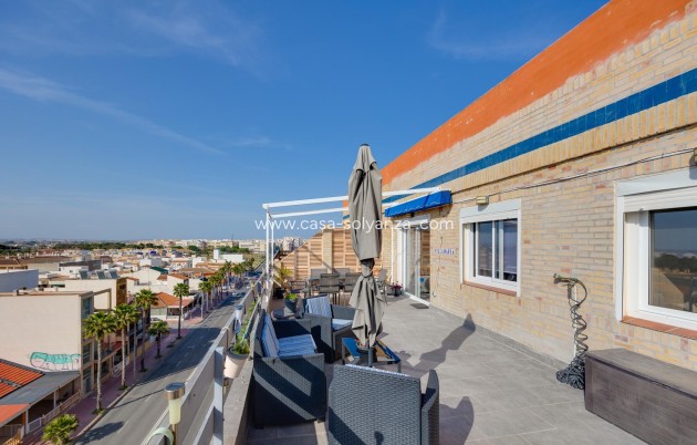 Herverkoop - Appartement / flat - Torrevieja - Playa De Los Naufragos