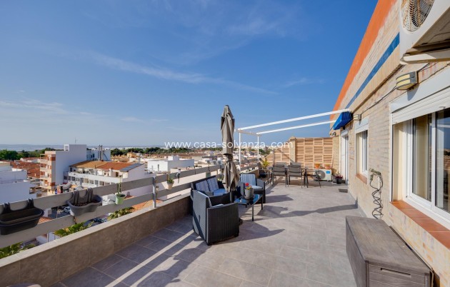 Herverkoop - Appartement / flat - Torrevieja - Playa De Los Naufragos