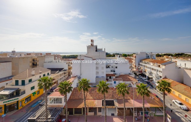 Herverkoop - Appartement / flat - Torrevieja - Playa De Los Naufragos