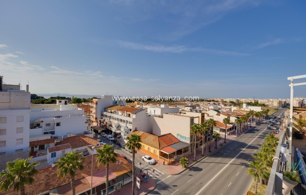 Herverkoop - Appartement / flat - Torrevieja - Playa De Los Naufragos