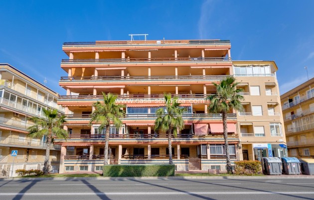 Herverkoop - Appartement / flat - Torrevieja - Playa De Los Naufragos