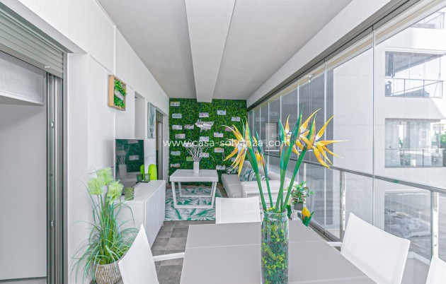 Herverkoop - Appartement / flat - Los Dolses - Pimienta