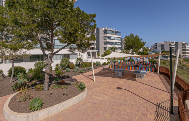 Herverkoop - Appartement / flat - Los Dolses - Pimienta