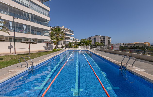 Herverkoop - Appartement / flat - Los Dolses - Pimienta
