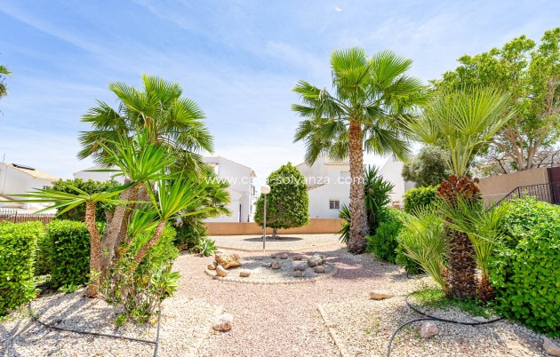 Herverkoop - Appartement / flat - Punta Prima - La Ciñuelica