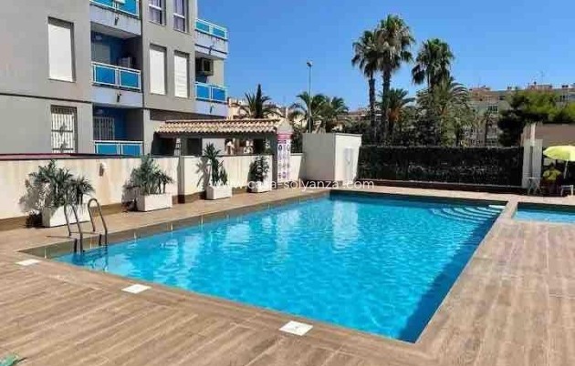 Herverkoop - Appartement / flat - Torrevieja - Estacion Autobuses