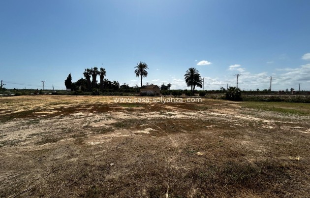 Revente - Land - San Miguel de Salinas - San Miguel Salinas