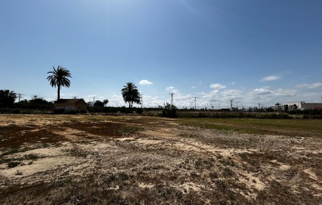 Revente - Land - San Miguel de Salinas - San Miguel Salinas