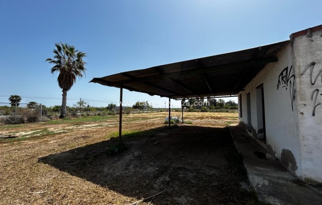 Revente - Land - San Miguel de Salinas - San Miguel Salinas