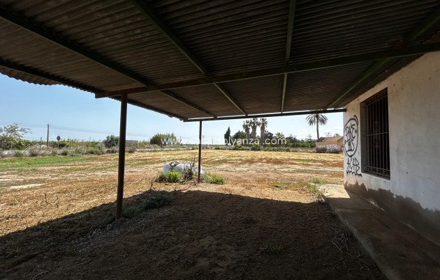 Revente - Land - San Miguel de Salinas - San Miguel Salinas