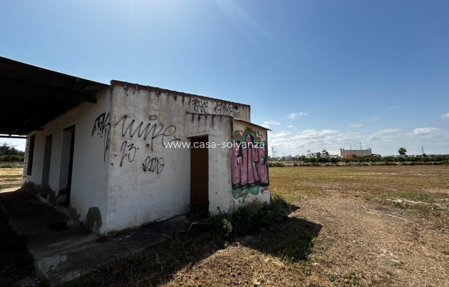Revente - Land - San Miguel de Salinas - San Miguel Salinas