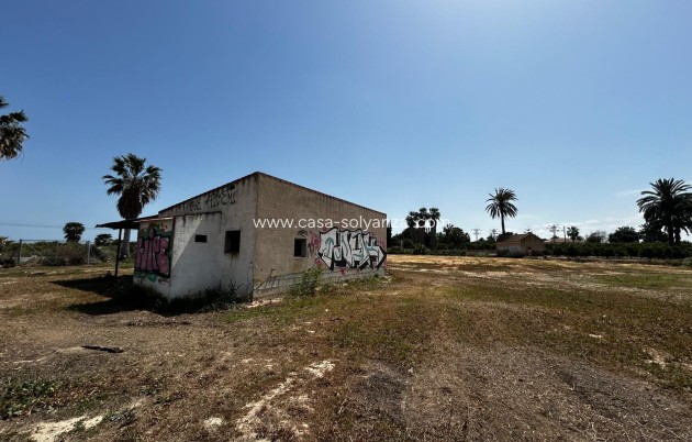 Revente - Land - San Miguel de Salinas - San Miguel Salinas